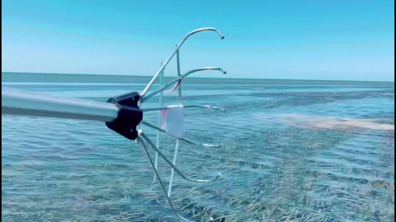 Low Tide Crabbing Adventure Ardrossan South Australia DWalkingTours