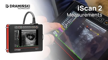 Dramiński iScan 2. Bovine ultrasound. Measurements - Guide Manual.