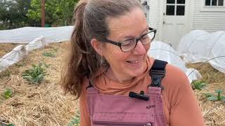 218. Planting Tubers, Mulching the Soil With Straw, and Pinching Out Young Plants.