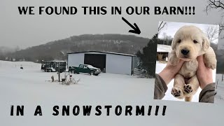 We DID NOT Expect This To Happen During A Snow Storm!