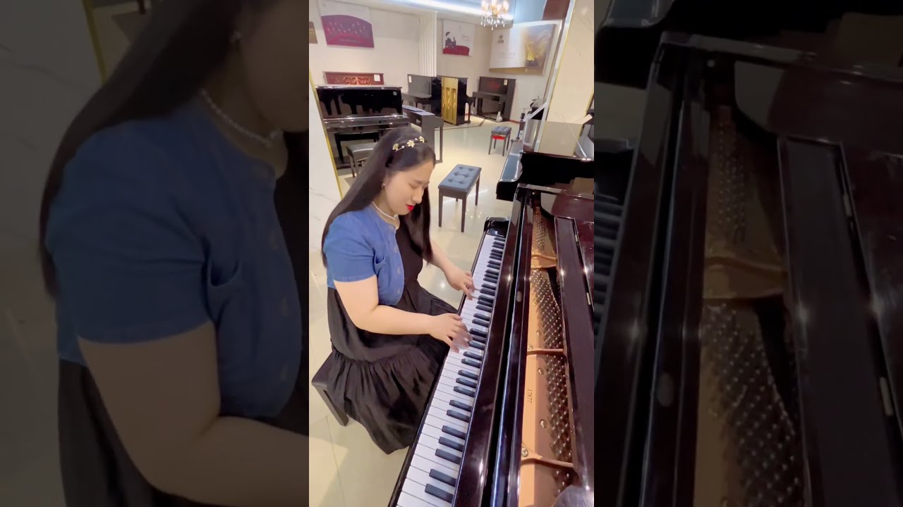 《一生何求》— 劉思思