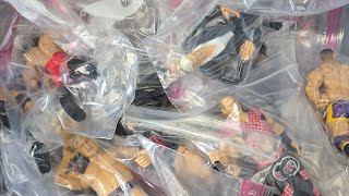Wrestling Collection Tour