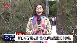 不用跑日本! 新竹尖石楓之谷美如仙境2019-01-01 IPCF-TITV ...