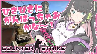 【CSGO】ソロで黒帯に行く配信～現在MG２【LVG/花芽なずな】