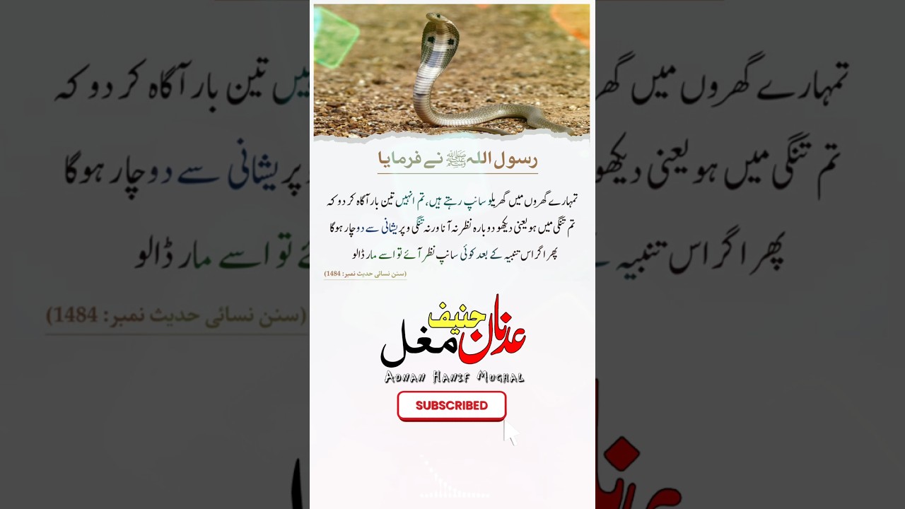 Saap / Snake🐍 Hadees Sharif l Hadees in Urdu l Hadith of Prophet Muhammed l Hades l ytshorts 