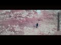 RADWIMPS - 鋼の羽根 [Official Music Video]