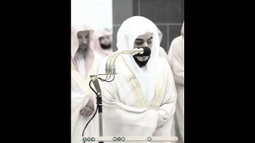 يوم تأتي كل نفس تجادل عن نفسها | تلاوة خاشعة من سورة النحل | الوليد الشمسان رمضان 1445