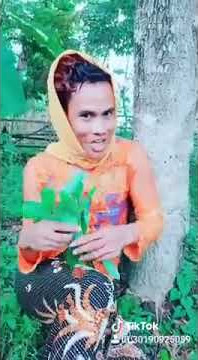 Ratu tiktok jadi janda suami direbut janda#shorts