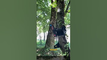 This Drone Hugs The Tree For Landing