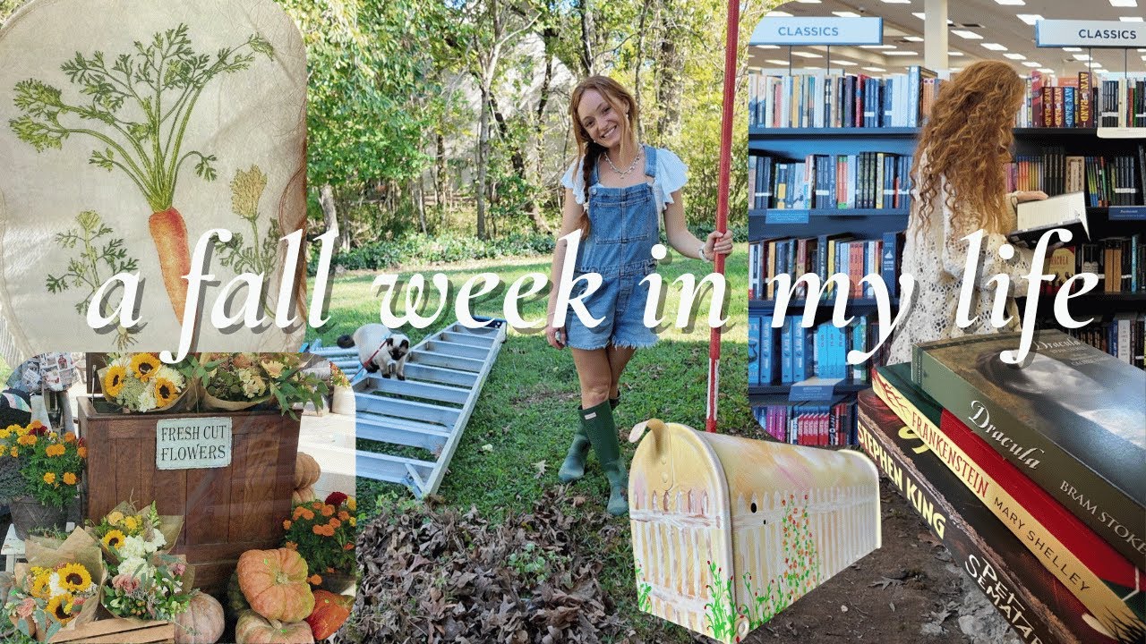 Fall Days in My Life | autumn cleaning, fall festival, book shopping, crafts, & more
