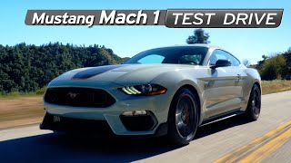 Mustang Mach 1 Review  Special Edition Enough?  Test Drive | Everyday Driver