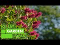 Planting natives in winter  garden  great home ideas