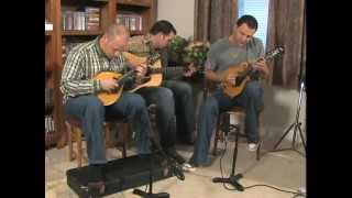 Collings Mandolins - Kym Warner, Jesse Cobb, Andy Falco - "Angeline the Baker" chords