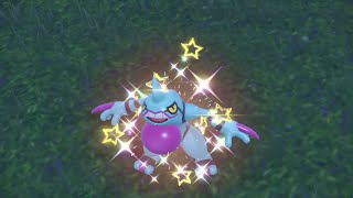 Pev Coatox Mâle Male Toxicroak Shiny 2