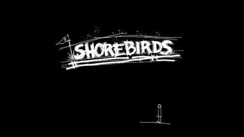 Shore Birds S/T 7"