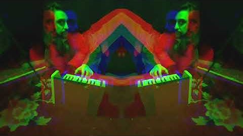 DIMORPHODONS - The Factory (Official Video)