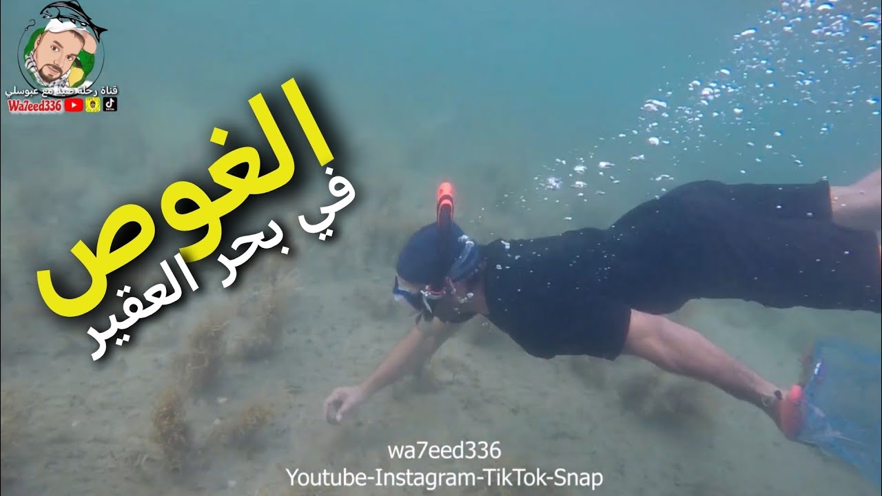 الغوص في بحر العقير