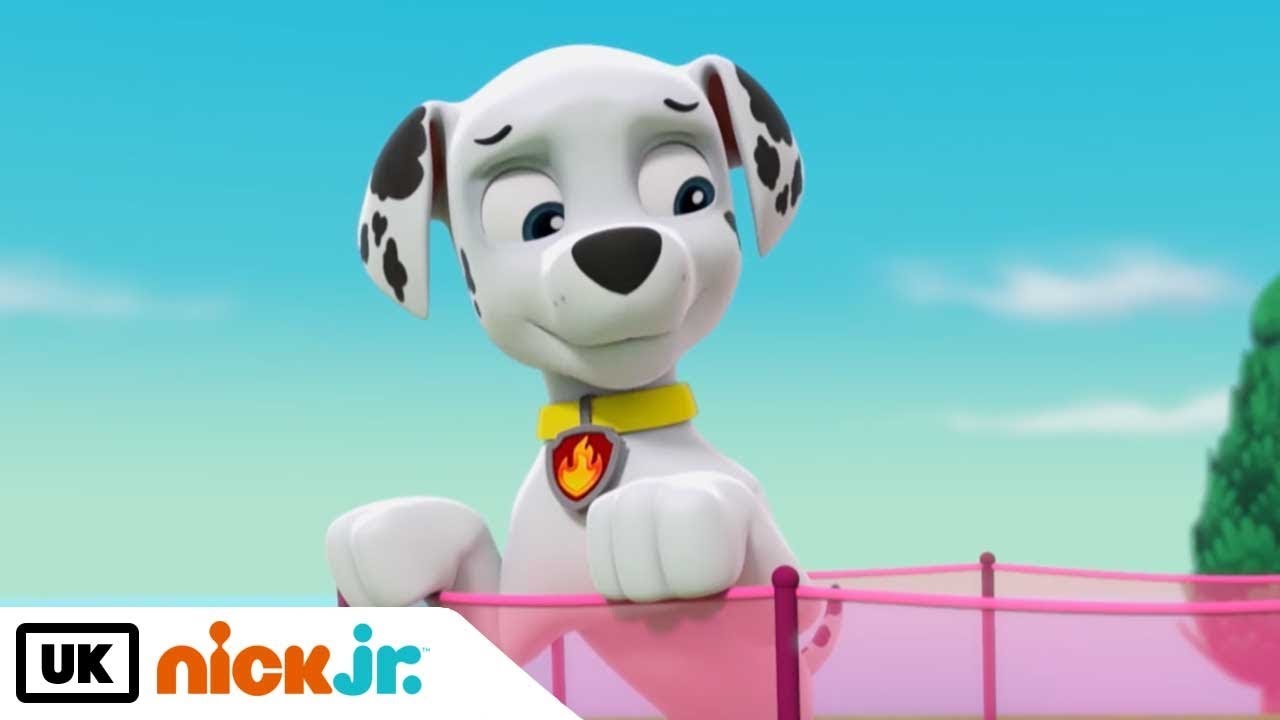 Paw Patrol | Marshall's Mishaps | Nick Jr. UK