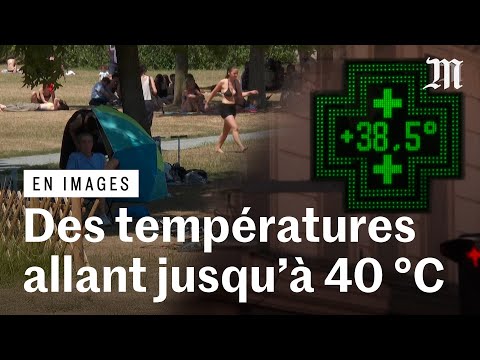 Canicule : un