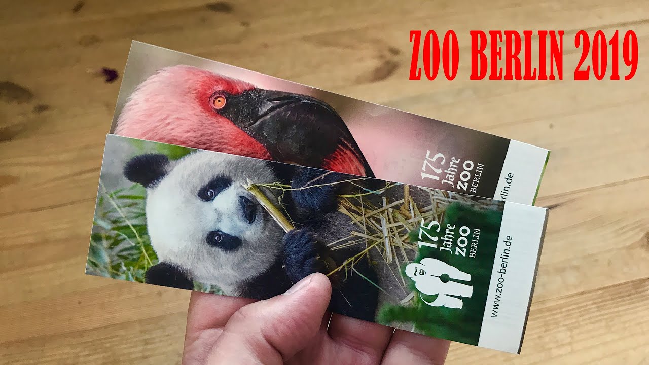 Zoo Berlin2019 YouTube