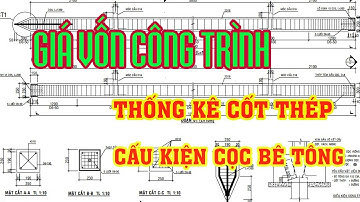 Thống kê cốt thép cấu kiện cọc BTCT : Giá vốn công trình (project cost price)