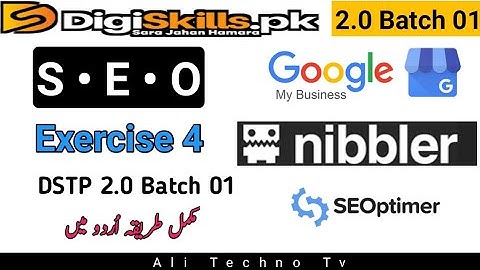 Digiskills 2.0 SEO Exercise 4 Batch 1 Solution | SEO exercise 4 digiskills 2.0 batch 1