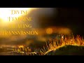 Divine Feminine Healing Transmission ✨