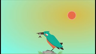 Pure CSS Bird | Mind-Blowing Codepen #103 #html #css #shorts