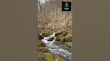 الشيخ ماهر المعيقلي، قرآن كريم