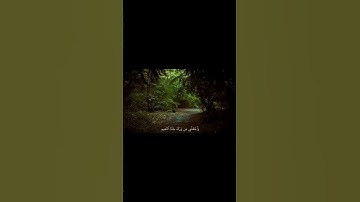 رب هب لي حكما والحقني بالصالحين قرآن كريم ياسر الدوسري 😔