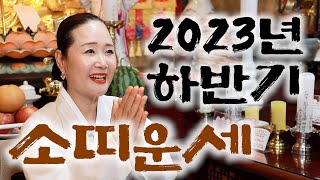 (서울점집) 2023년 하반기 소띠 운세!!