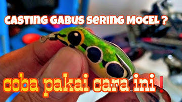 CASTING GABUS SERING MOCEL, coba pakai cara ini