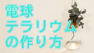 電球テラリウムの作り方 簡単diy How To Dcmチャネル Youtube 電球テラリウムの作り方 簡単diy How To Dcmチャネル Youtube