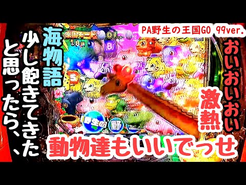 海物語のようなシンプルで最高な台。野生の王国で海物語打つ海物語増やす。【PA野生の王国GO 99ver.】