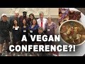 The best vegan conference  vegan summerfest