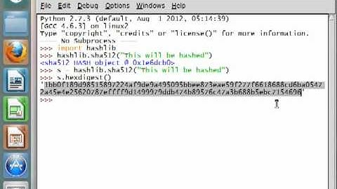 Python [hashlib] 05 SHA512 Hashing
