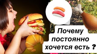 видео: Почему все время хочется есть? Почему мы переедаем. #сарамон #лишнийвес #психосаматика  картинка: Почему все время хочется есть? Почему мы переедаем. #сарамон #лишнийвес #психосаматика
