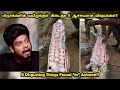 ஆச்சர்யபடுமளவு வயிற்றுக்குள் இருந்த 5 விஷயங்கள்|Unexpected Things Found In Animals-Rishipedia|Tamil