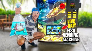 Buying AQUARIUM FISH From LIVE FISH VENDING MACHINE!