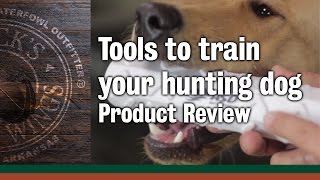 What tools to use when training your hunting dog