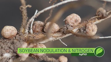 Soybean Nodulation & Nitrogen #1054 (Air Date 6-17-18)