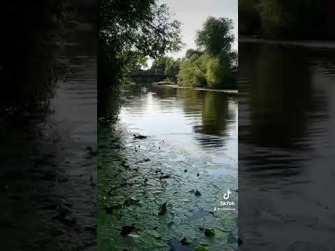 Βίντεο: Ο ποταμός Trubezh στο Pereslavl-Zalessky