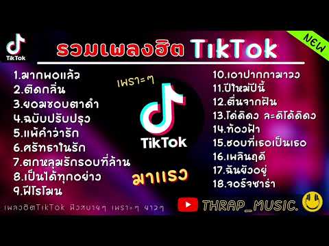 รวมเพลงฮิตในTikTokล่าสุด รวมเพลงฮิตในแอพติ๊กต๊อกล่าสุด 