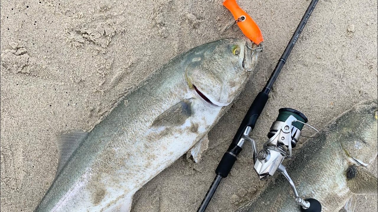 Fall Surf Fishing With Light Tackle Break In NJ!!! 