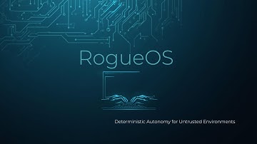 Rogue Demo Video OBS