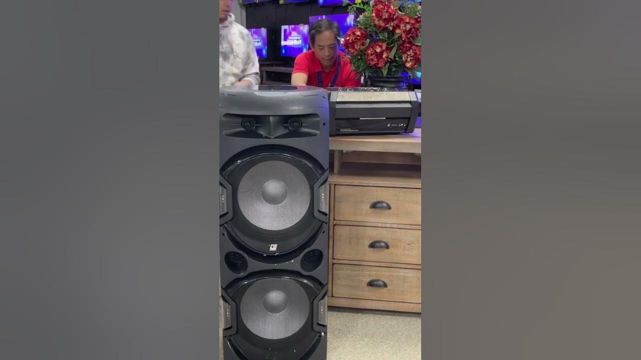 Edison Party System L5500 YouTube