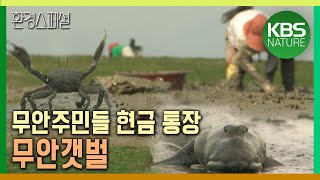 원시가 살아있는 무안 갯벌, 무안 주민들의 현금 통장 된 사연　[환경스페셜-그들은 왜 갯벌을 선택했나] / KBS 20090722 방송