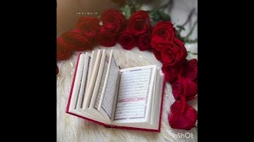 من القراءات الرائعة للقارئ أمين موسى.