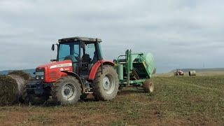 Mowing, baling and wrapping Millet