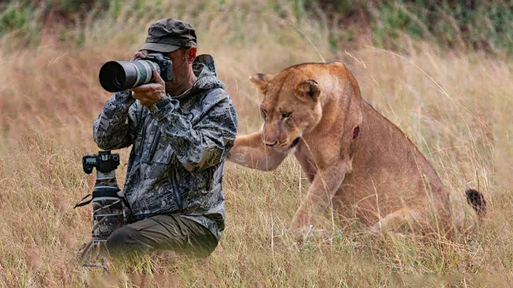 SHOCKING Wild Animal Encounters With Photographers 🤪 Funny Animal Videos 2025 thumbnail